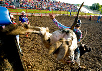 Bull Riding